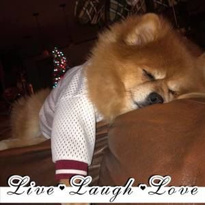 Meet your Posher, Caryn